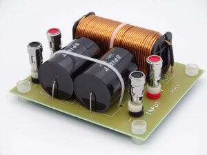 filtre-subwoofer-125-Hz-4-Ohms-1000-watts-sur-la-boutique-du-haut-parleur