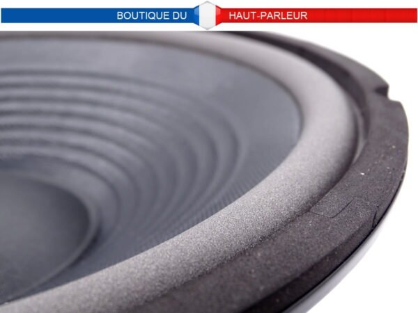 Haut-parleur grave Hi-Fi 302 mm 100 W 8 ohms membrane papier